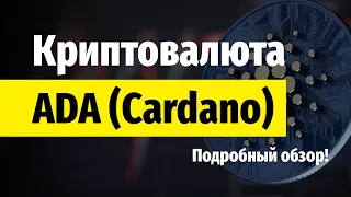 Криптовалюта Cardano ADA - Обзор, Прогноз, Перспективы, Кошелек Daedalus, Покупка