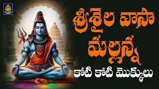 శ్రీశైల వాసా మల్లన్న | God Shiva Songs 2024 | Srisailam Mallanna Songs#Telugu Songs# SriDurga Audio