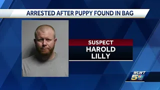 Sheriff: Suspect arrested after puppy found abandoned inside bag at Hamilton park