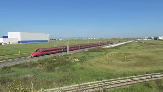 ETR 600 treno 04 Incoronata