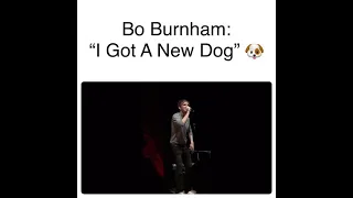 Bo Burnham | New Dog Troubles 🐶