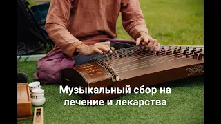 Музыкальный сбор на лечение и лекарства