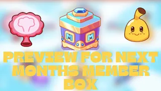 PREVIEW FOR NEXT MONTHS MEMBER BOX 2024