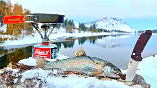 WINTER TROUT Fishing in REMOTE Mountain Lakes!!! (SOLO Catch & Cook)