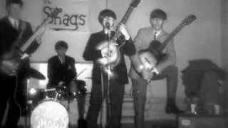 THE SHAGS....Winnipeg Garage Band of the 1960's