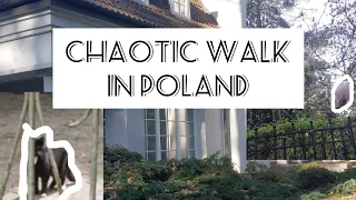 *join me* on a WALK through a POLISH TOWN🇵🇱