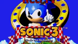 Sonic the Hedgehog 3 - Sega Mega Drive 2Genesis Прохождение