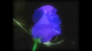 bladee & ECCO2K ♡ LOVESTORY ♡ (Sub. Español) (Slowed)