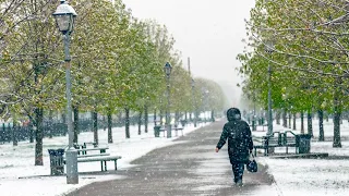 Аномальный майский снегопад замел улицы Москвы