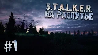 S.T.A.L.K.E.R. На Распутье #1 - ОХОТА НА СТРОНГЛАВА