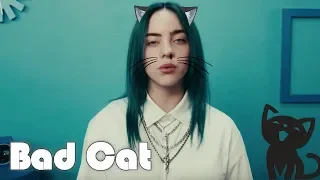 billie eilish bad guy  version cat [bad cat]