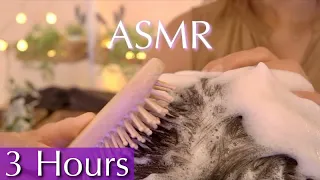 [ASMR] 3 Hours of Satisfying Shampoo & Hair Wash for Stress Relief | No Talking