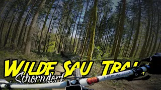 WILDE SAU TRAIL // MTB in Schorndorf und Urbach // Two Guys One Van