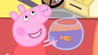 Peppa Pig Full Episodes | Goldie the Fish | Cartoons for Children