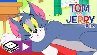 A Tom és Jerry-show | Új háziállat | Cartoonito