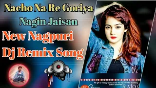 Nacho Na Re Goriya Nagin jaisan || New Nagpuri Dj Song 2022||℅Dj Anil Udaipur keshma %||