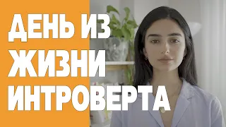 ДЕНЬ ИЗ ЖИЗНИ ИНТРОВЕРТА [Lana Blakely] (Habits&Heights перевод и озвучка)