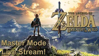 The Legend of Zelda: Breath of the Wild - Master Mode Live Stream #15