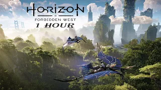 Horizon Forbidden West - Main Theme (1 Hour) Promise of the West