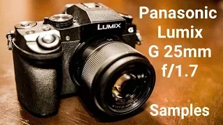 Panasonic Lumix G 25mm f1.7 samples and beginner tutorial