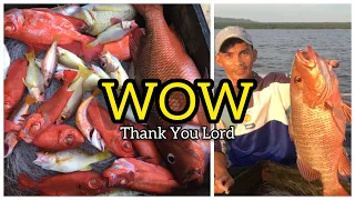 EP64 LONGLINE FISHING IN THE PHILIPPINES 🇵🇭 #fishing #fishinginthephilippines #subscribe