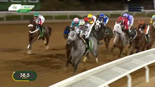 Senor Buscador Steals the Show to Win the $20 Million Saudi Cup!