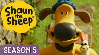 Shaun the Sheep Season 5 🐑 Full Episodes (6-10)🤩 Music Stars and New Hair Styles | Cartoons for Kids