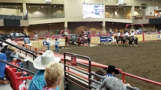 2020 NFSR - Trevor Brazile Rd 9 - 11/7/2020