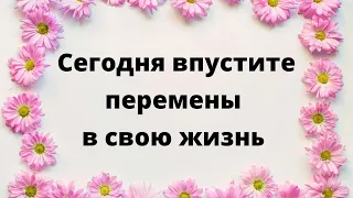 Сегодня день большого счастья. Этот цвет принесет большую удачу.