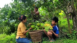 The Process Harvesting Jackfruit,Fruit,Pomelos,Mussels and snails | bring the market to sell