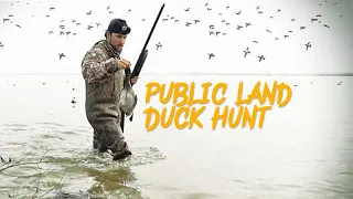 Hunting a HUGE SWARM of DUCKS on PUBLIC LAND