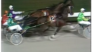 Harness Racing,Moonee Valley-11/03/1978 Trotters Inter-Dom Grand Final (Derby Royale-C.Powell)