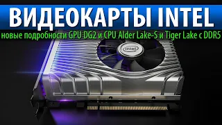 💎ВИДЕОКАРТЫ INTEL, новые подробности GPU DG2 и CPU Alder Lake-S и Tiger Lake с DDR5