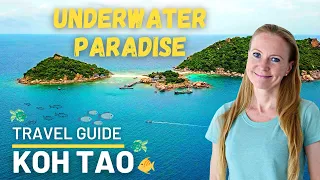 Koh Tao, Thailand (ultimate travel guide) 🐠🌴😊