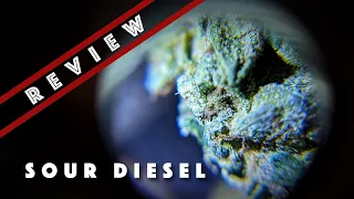District Cannabis Sour Diesel Review
