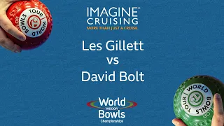 World Indoor Bowls Championship 2024 Les Gillett vs David Bolt - Day 7 Match 1