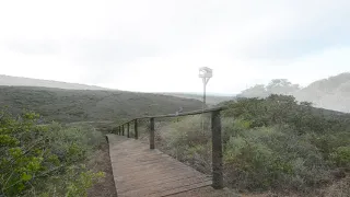 Nautilus Bay Immersed in Unspoilt Nature