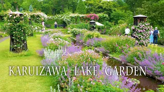 KARUIZAWA LAKE GARDEN 2021. Roses are in full bloom on a plateau in the rainy season.#軽井沢レイクガーデン #4K