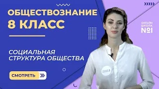 Социальная структура общества. Видеоурок 13. Обществознание 8 класс