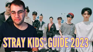 YEAH THE BOYS! | A Detailed Introduction To Stray Kids 2023 REACTION!