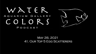 41. Our Top 5 Egg Scatterers