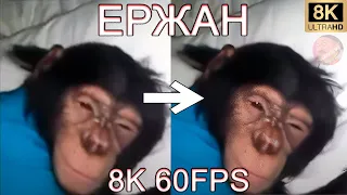 ЕРЖАН 8K 60FPS (УЛУЧШЕННЫЙ МЕМ) 🦍🦍🦍