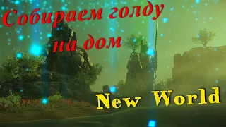 👍Идем по мейн цепочке и собираем на дом 😀 Server Transfer update Alastor New World