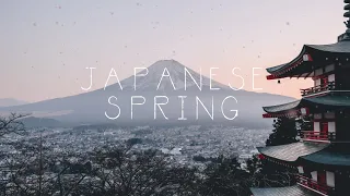 Vindu - Japanese Spring [Stories From Japan EP] (japanese lo-fi)