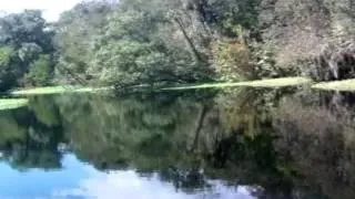 A boat trip on St. Johns River