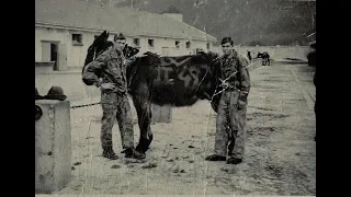 alpini per sempre