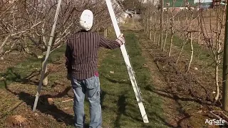 LADDER SAFETY ORIENTATION (ORCHARDS) | ENGLISH