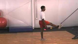 Paw Back- DoctorYessis.com Sports Training