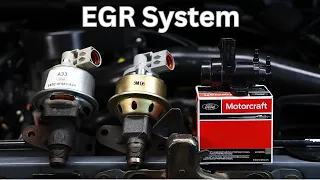 Diagnose & Replace EGR Components | 1980-1996 Ford Bronco F150 | Bronco Restoration