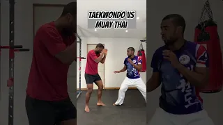 TAEKWONDO VS MUAY THAI